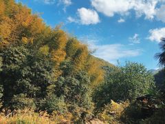 -丹山赤水风景名胜区