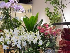 -花辰月夕花坊(北滨路店)