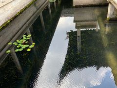 -兰亭风景区