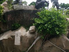 -胡里山炮台