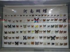 -郑州自然博物馆(惠济区)