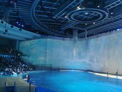 -上海海昌海洋公园