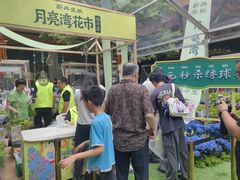 -瑞虹新天地月亮湾