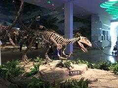 -自贡恐龙博物馆