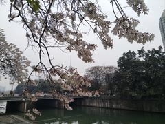 -成都市活水公园