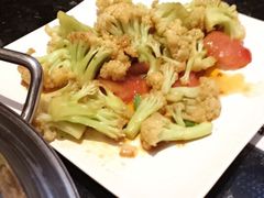 -新兴·金羊座·粤菜点心(乐峰店)