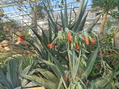 -国家植物园南园