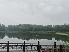 -北坞公园