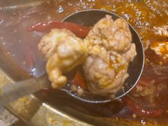 -Xiao Long Kan Hotpot Sydney 小龙坎老火锅