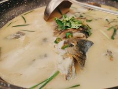 -饭怕鱼·黄焖鲟龙鱼(湖大店)