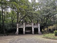 -灵谷景区