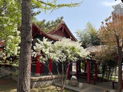 -碑林公园