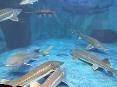 -多彩贵州城极地海洋世界