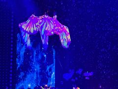 -珠海横琴长隆《卡卡虎奇遇记》