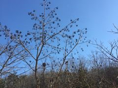 -金石唐风国际温泉会馆