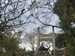 -苏州上方山国家森林公园