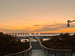 -宝安西湾红树林湿地公园