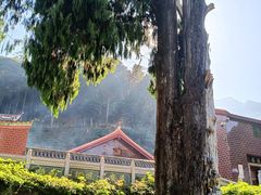-灵光寺