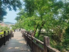 -崂山仰口游览区