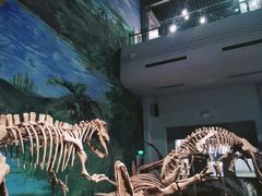 -自贡恐龙博物馆