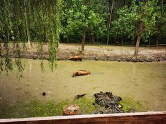 -溱湖国家湿地公园