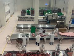 -歌斐颂巧克力小镇