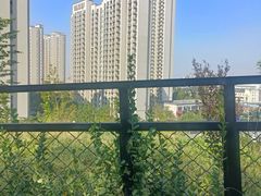 -佛慧山