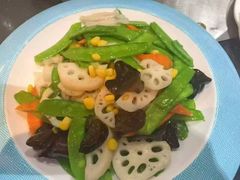 -天鹅到家·保姆月嫂育儿嫂(总店)