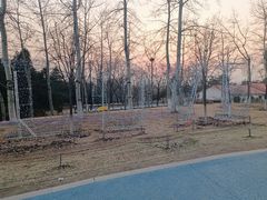 -青龙湖公园