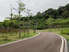 -飞凤山奥体公园