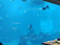 -天房洲际度假酒店宴会厅