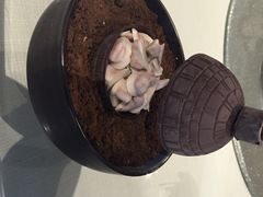 iphone_upload_pic-黛瓦里巷(南京东路店)