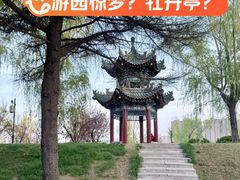 -渭滨公园