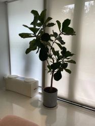店内环境-纯粹医美