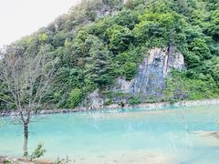 -狮子沟牧场