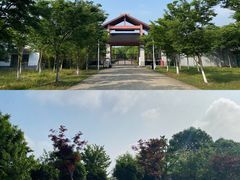 -南湖湿地公园