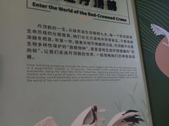 -盐城丹顶鹤湿地生态旅游区