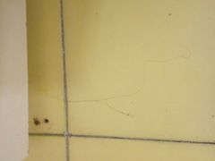 -如家酒店(北京西单大悦城店)