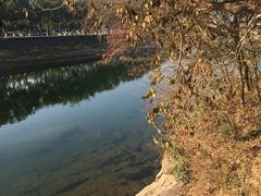-蒋氏故居