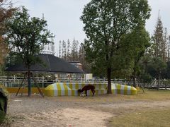 -前小桔亲子创意农场·草莓采摘·露营烧烤