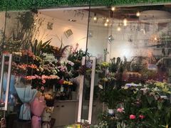 -花草间花行(法华镇路店)