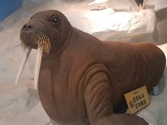 -上方山森林动物世界