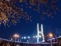 -上海南浦大桥长途旅游客运站