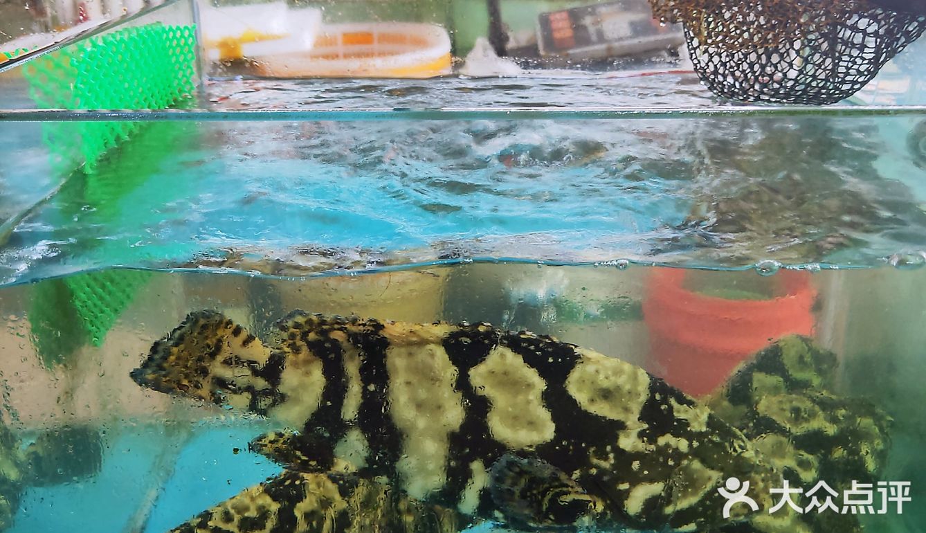【广海🦐海鲜】