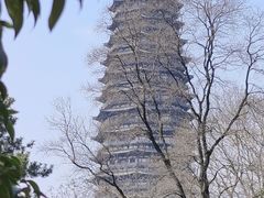 -红梅公园
