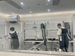 -comecome来吧宠物(奥克斯中心店)