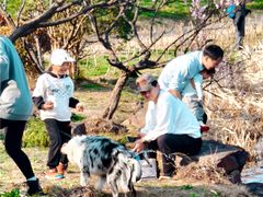 -上海海湾国家森林公园