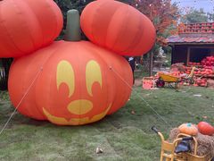 -HERRE·FARM 赫尔露营农场·团建聚会包场