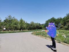 -永定河休闲森林公园