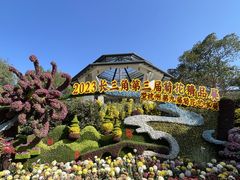 -杭州植物园